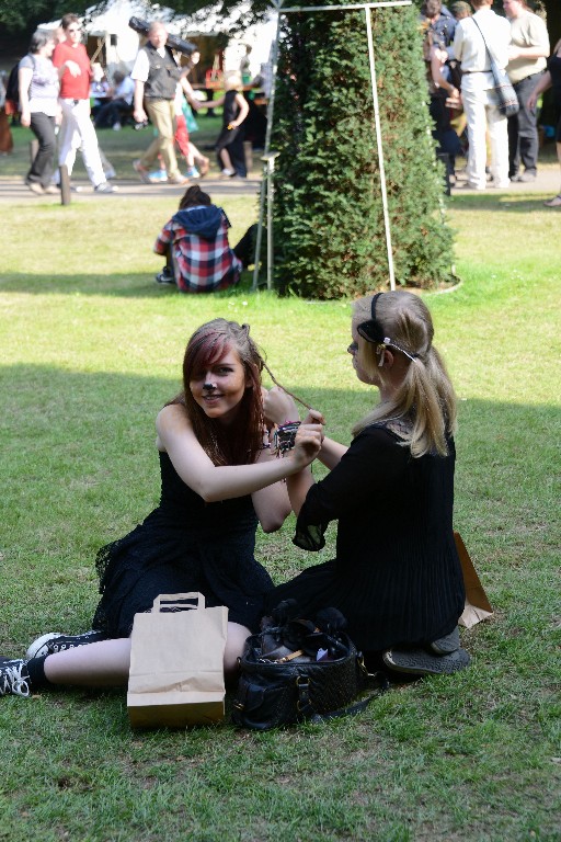 ../Images/Zondag Castlefest 2015 128.jpg